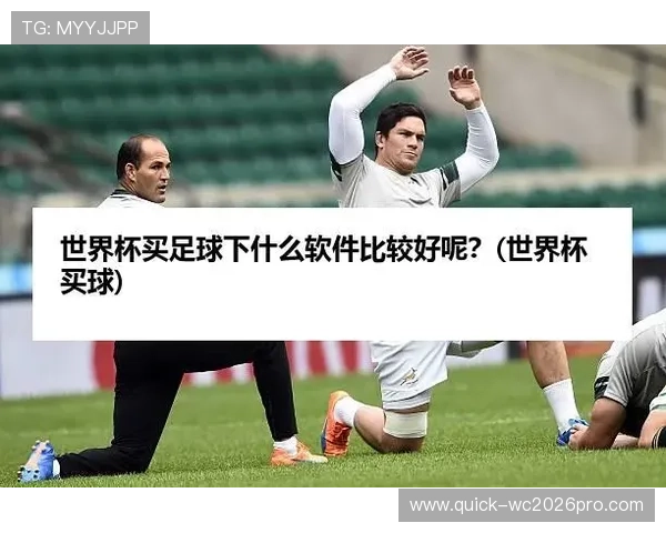世界杯买球网站有哪些优质平台,详细比较不同平台的优势与不足